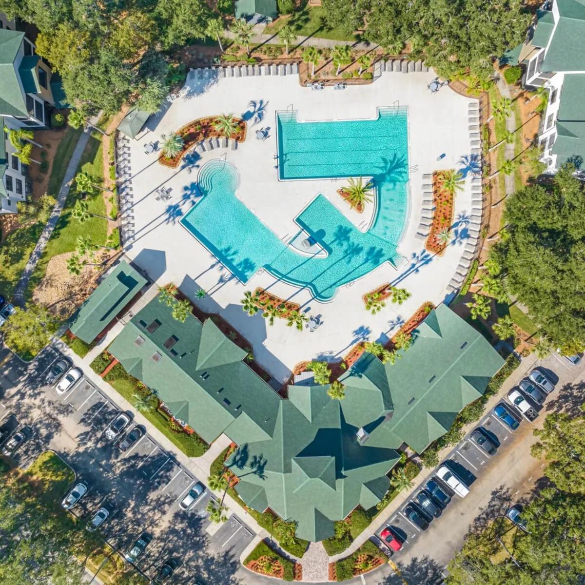 4Bd 2 Mi To Usf Free Pool + 24 Hour Gym Villa Tampa Exteriör bild