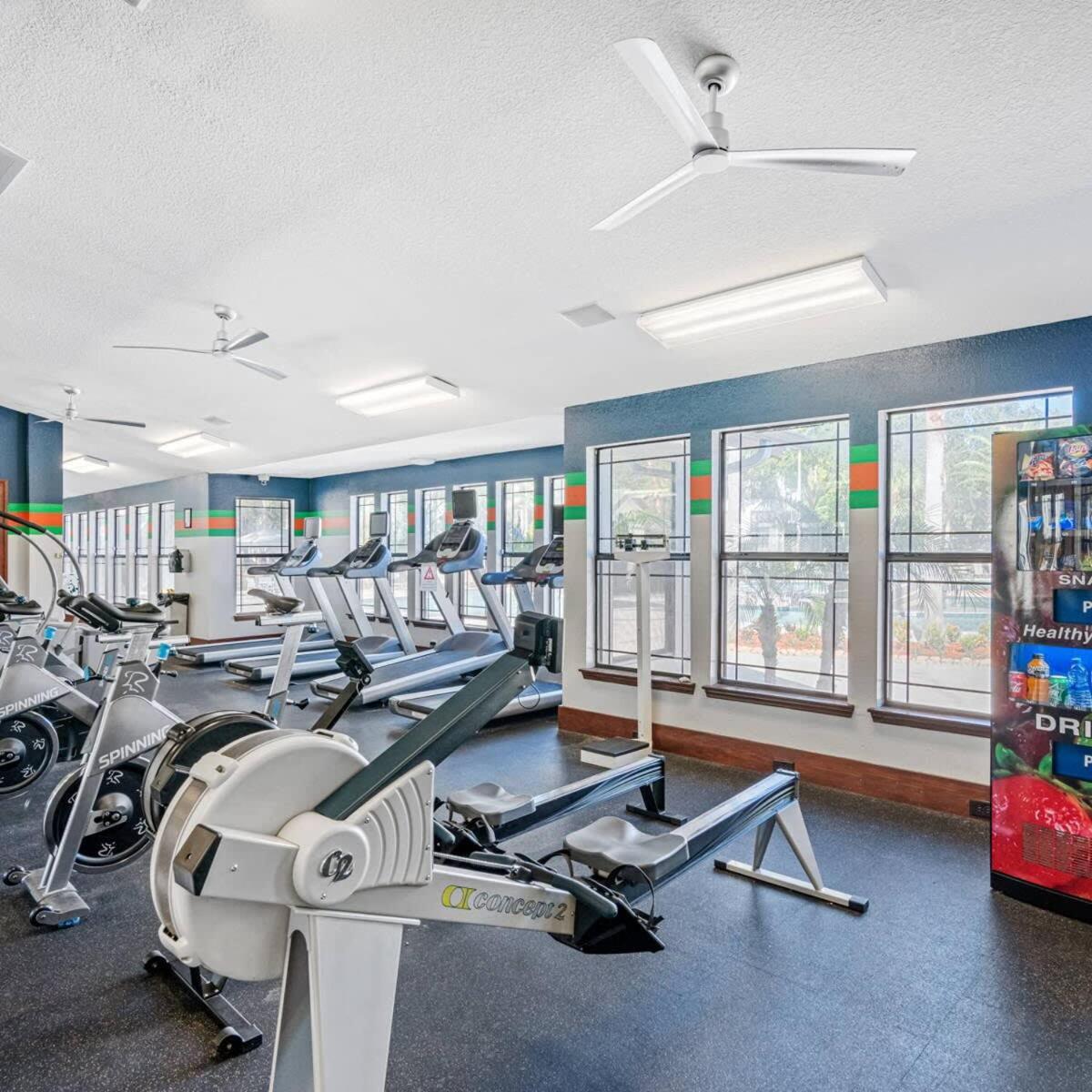 4Bd 2 Mi To Usf Free Pool + 24 Hour Gym Villa Tampa Exteriör bild