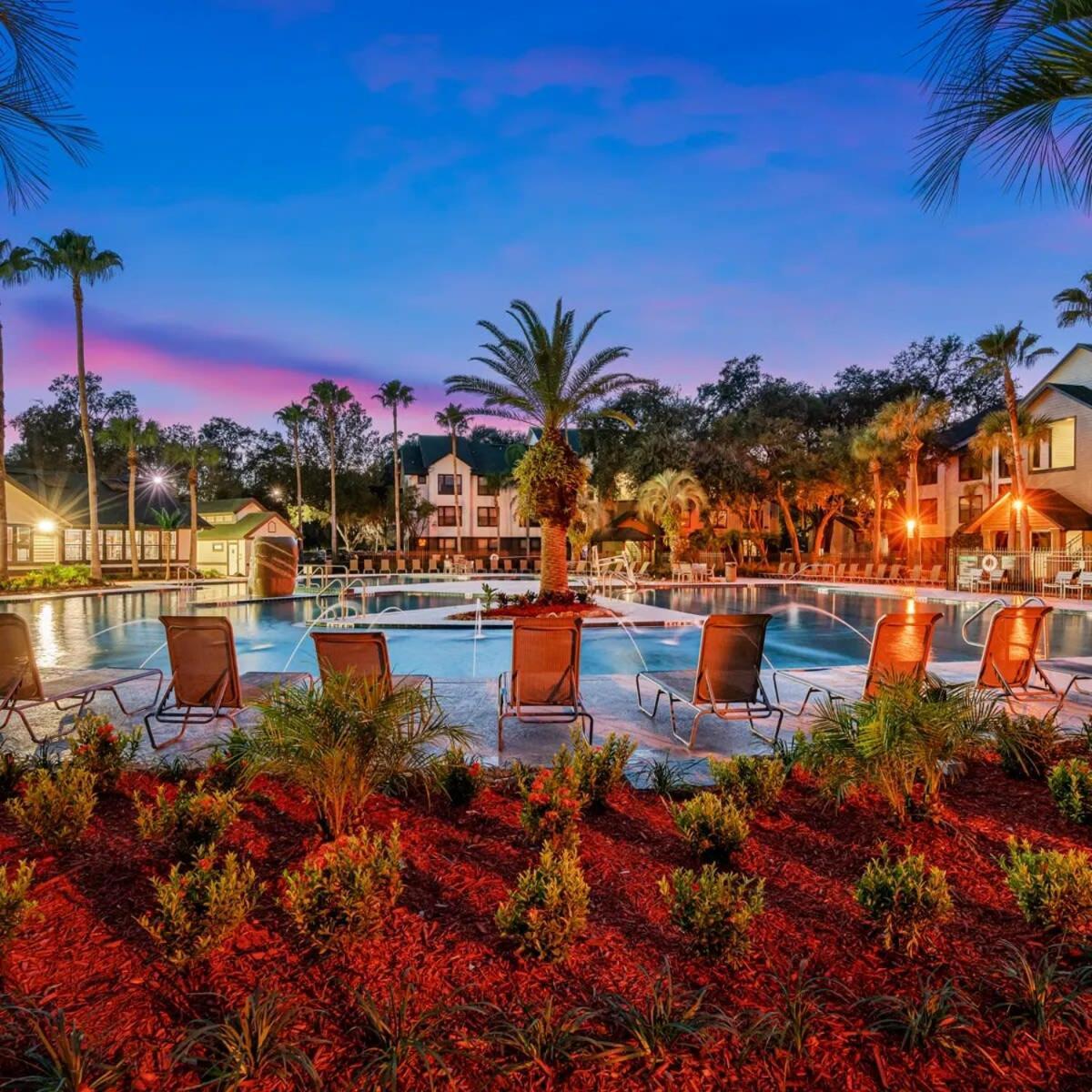 4Bd 2 Mi To Usf Free Pool + 24 Hour Gym Villa Tampa Exteriör bild