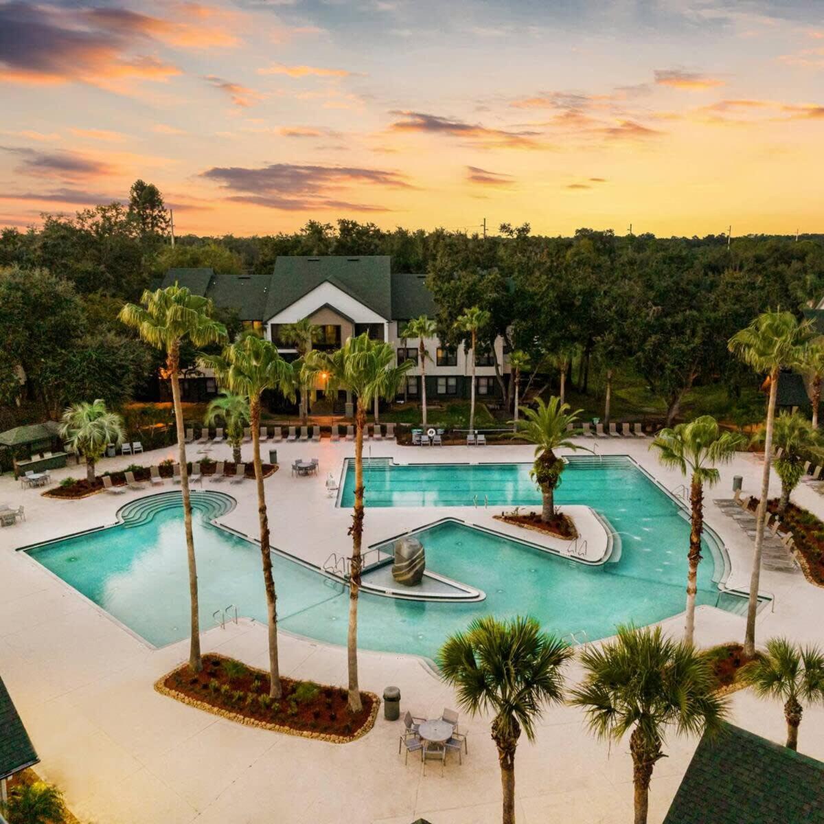 4Bd 2 Mi To Usf Free Pool + 24 Hour Gym Villa Tampa Exteriör bild