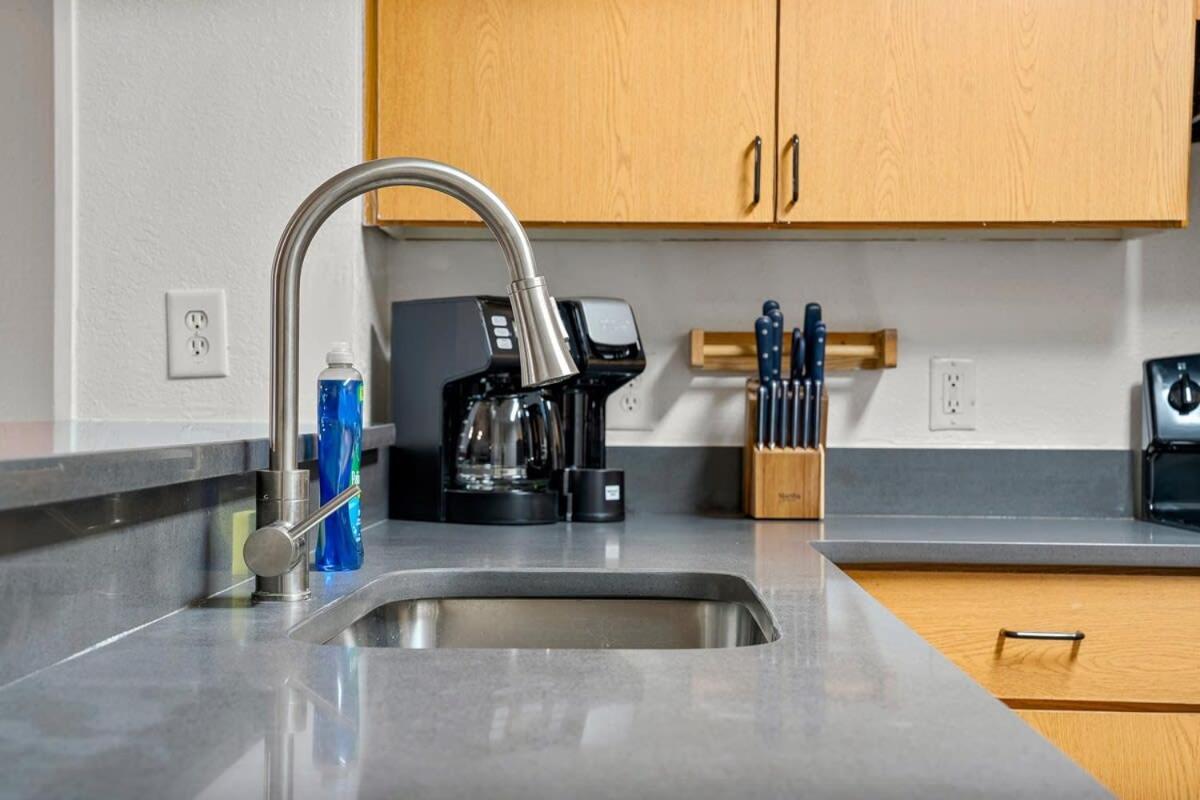 4Bd 2 Mi To Usf Free Pool + 24 Hour Gym Villa Tampa Exteriör bild
