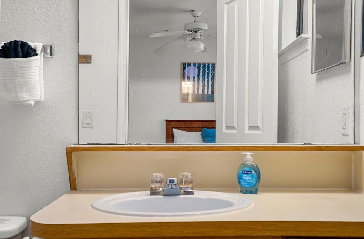 4Bd 2 Mi To Usf Free Pool + 24 Hour Gym Villa Tampa Exteriör bild