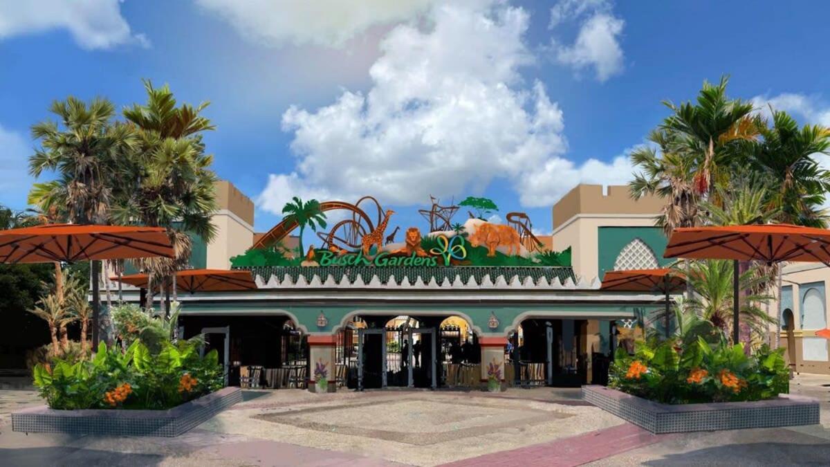 4Bd 2 Mi To Usf Free Pool + 24 Hour Gym Villa Tampa Exteriör bild