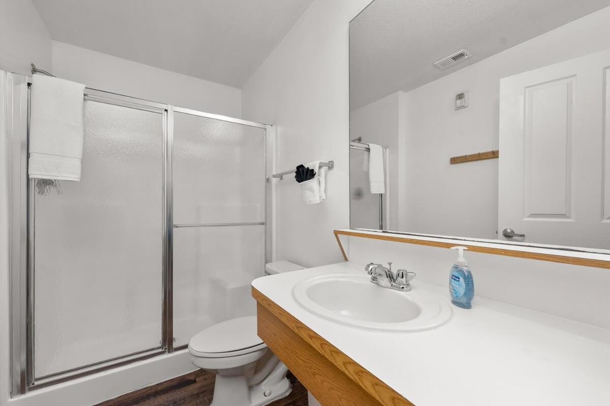 4Bd 2 Mi To Usf Free Pool + 24 Hour Gym Villa Tampa Exteriör bild