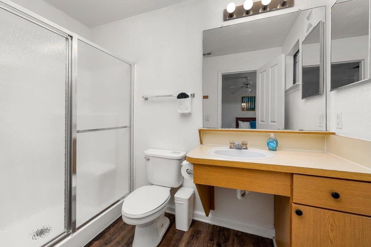 4Bd 2 Mi To Usf Free Pool + 24 Hour Gym Villa Tampa Exteriör bild