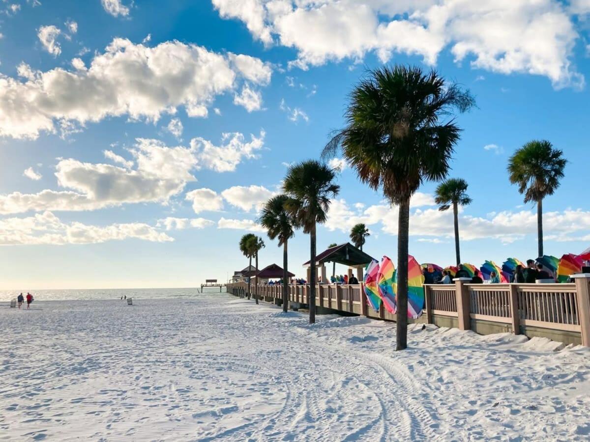 4Bd 2 Mi To Usf Free Pool + 24 Hour Gym Villa Tampa Exteriör bild