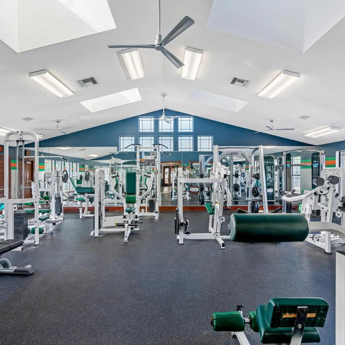 4Bd 2 Mi To Usf Free Pool + 24 Hour Gym Villa Tampa Exteriör bild